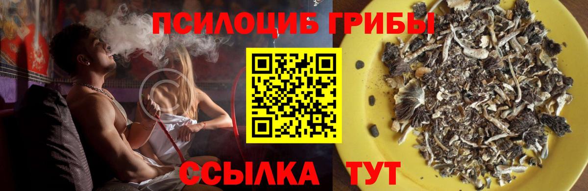 Псилоцибиновые грибы мицелий Калач-на-Дону